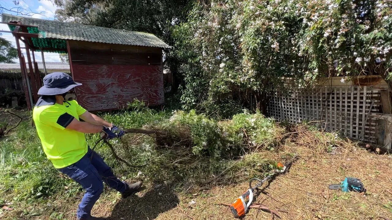 The WORST Overgrown Yard You Have EVER Seen.