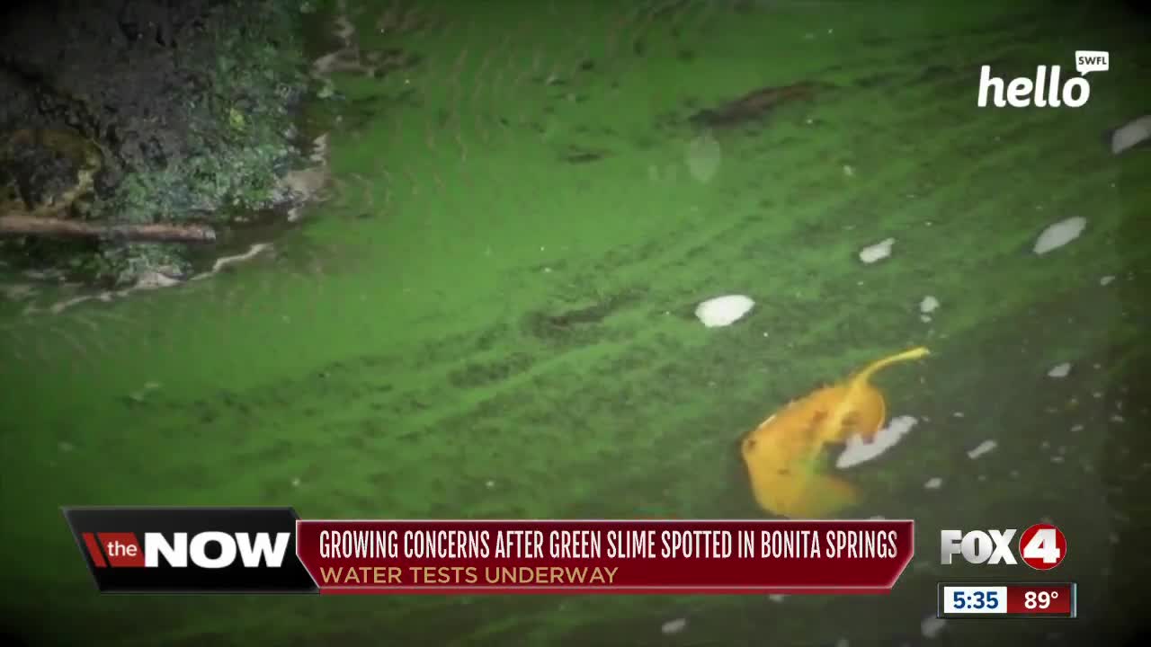 Blue-Green Algae Spotted in Bonita Springs, Concerns Beachgoers