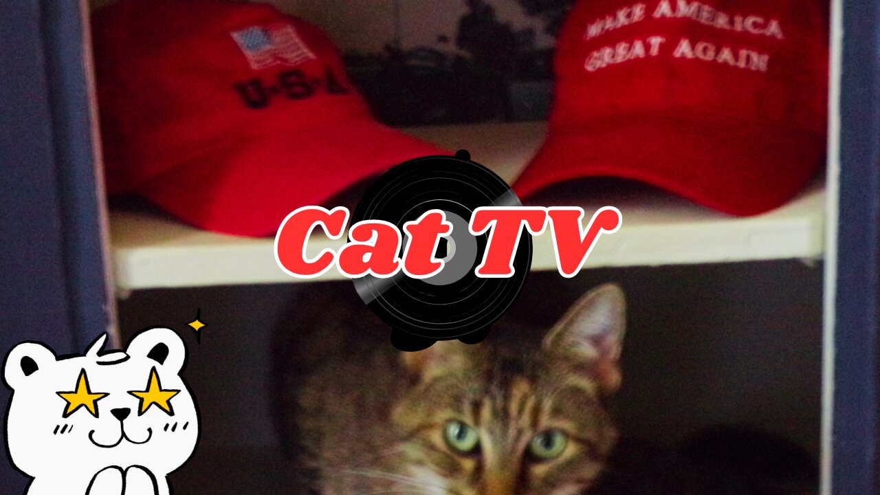 Grand Funk Railroad THE LOCO-MOTION (by request Cat TV)