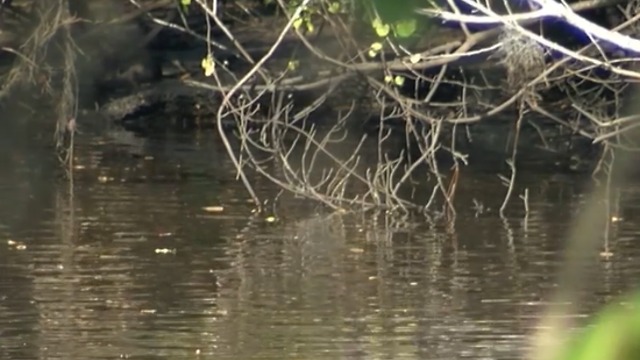 Construction on new golf course caused runoff into river