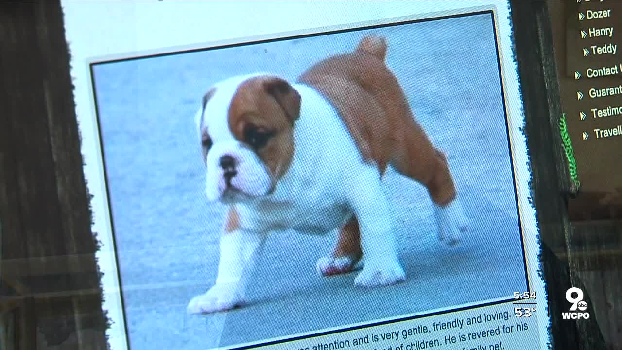 DWYM: Puppy Scam Warning