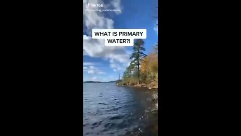 Primary Water