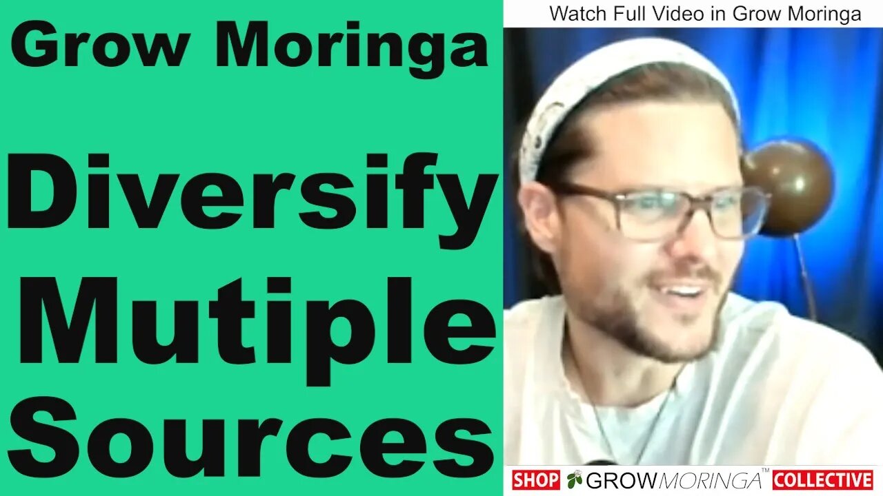 Moringa Revenue Streams | Diversify Multiple Sources Entrepreneur | Shipping Trees, Seeds & Cuttings