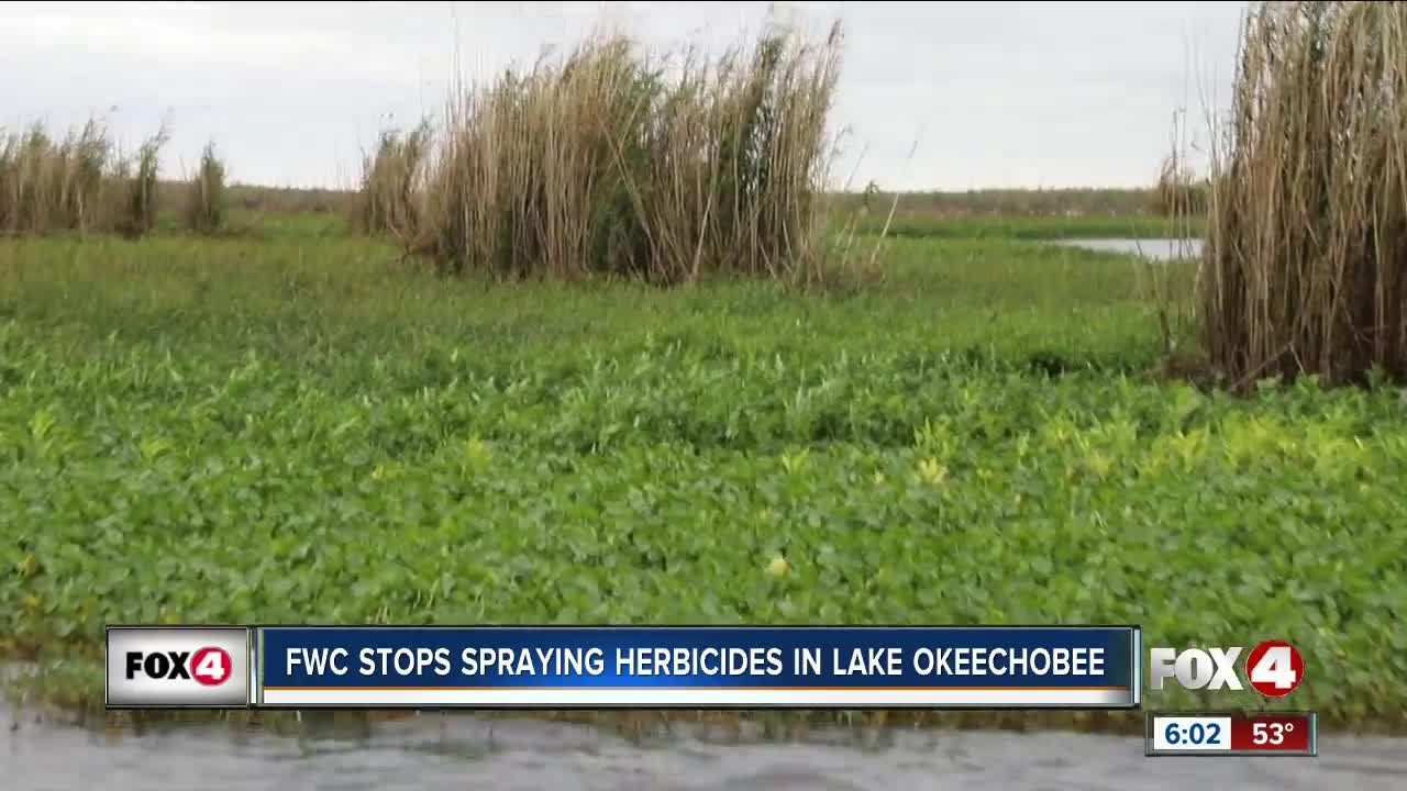 FWC stops spraying herbicides in Lake Okeechobee