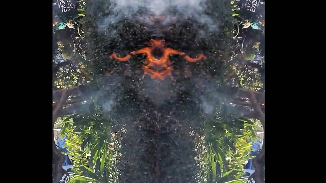 Effects #001