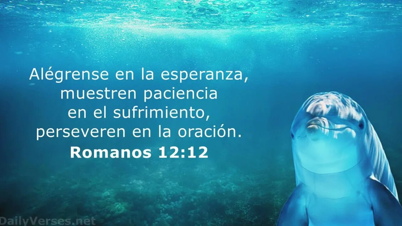 Muestren paciencia en el sufrimiento, perseveren en la oración #devocional #devocionaldiario