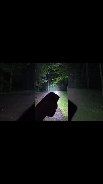 Olight Warrior Mini 3 1750 Lumen 18650 Flashlight #shorts