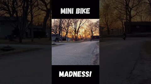 Mini Bike Madness! #shorts #minibike