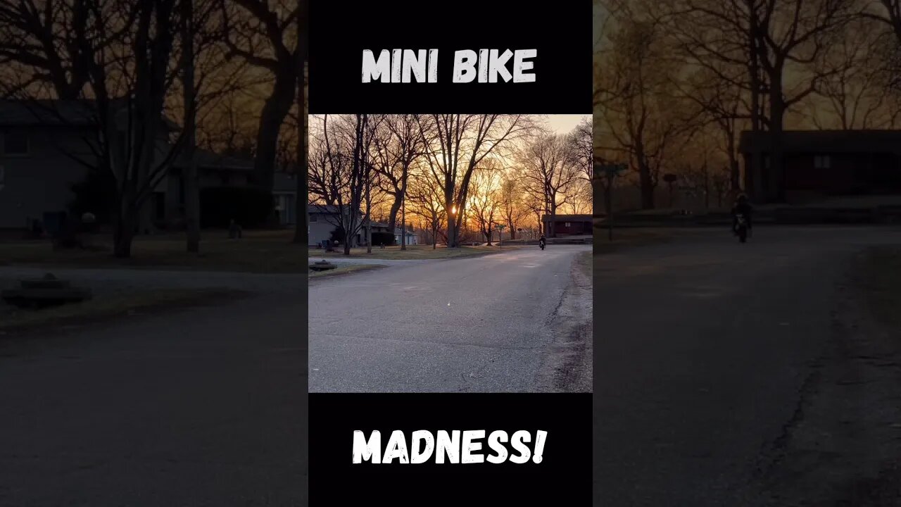 Mini Bike Madness! #shorts #minibike