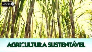 Agricultura Sustentável - com Frederico Olivi