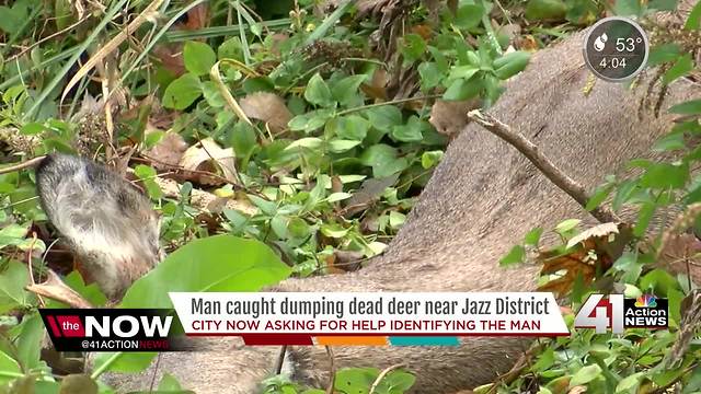 Man caught on camera dumping dead deer