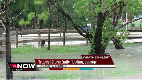 Tropical Storm Emily flooding, damage in Sarasota County