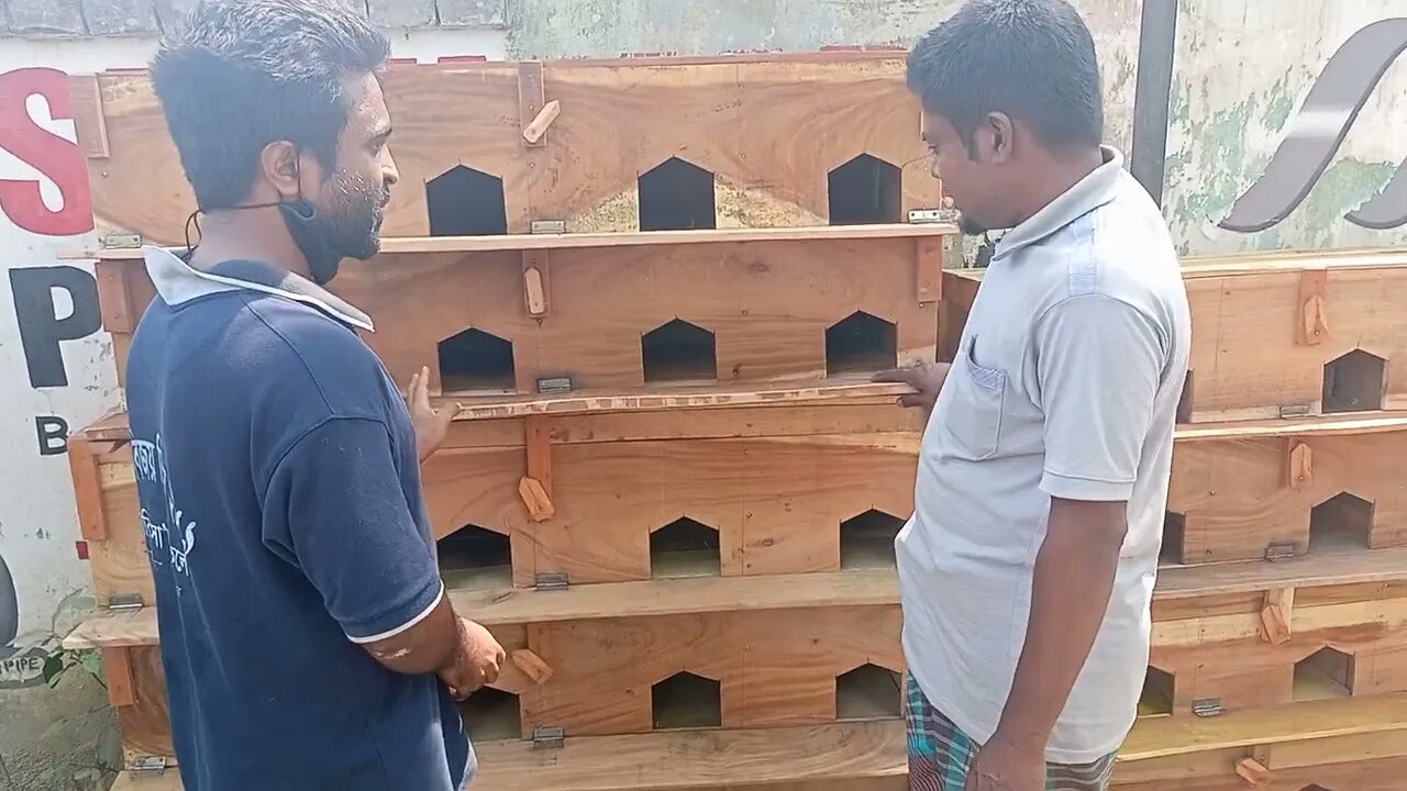 কালাম ভাই করটিয়া,টাংগাইলে সুলভমূলে কবুতরের ভালমানের খাঁচা বিক্রয় করে থাকেন