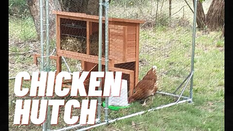 Putting A Hutch Together For The Chickens.