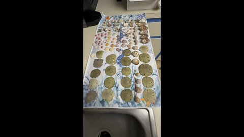 Beach Finds Week Of 1/1/2024! 4K