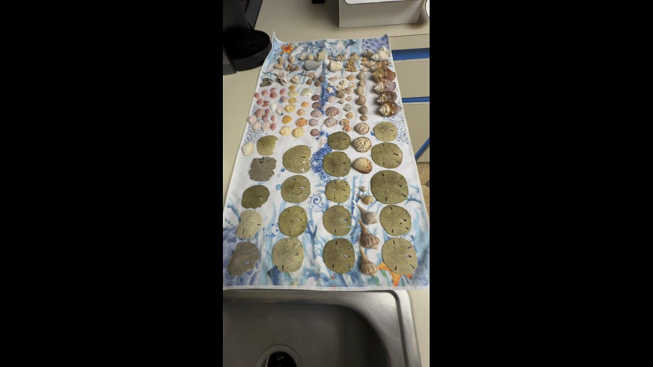 Beach Finds Week Of 1/1/2024! 4K