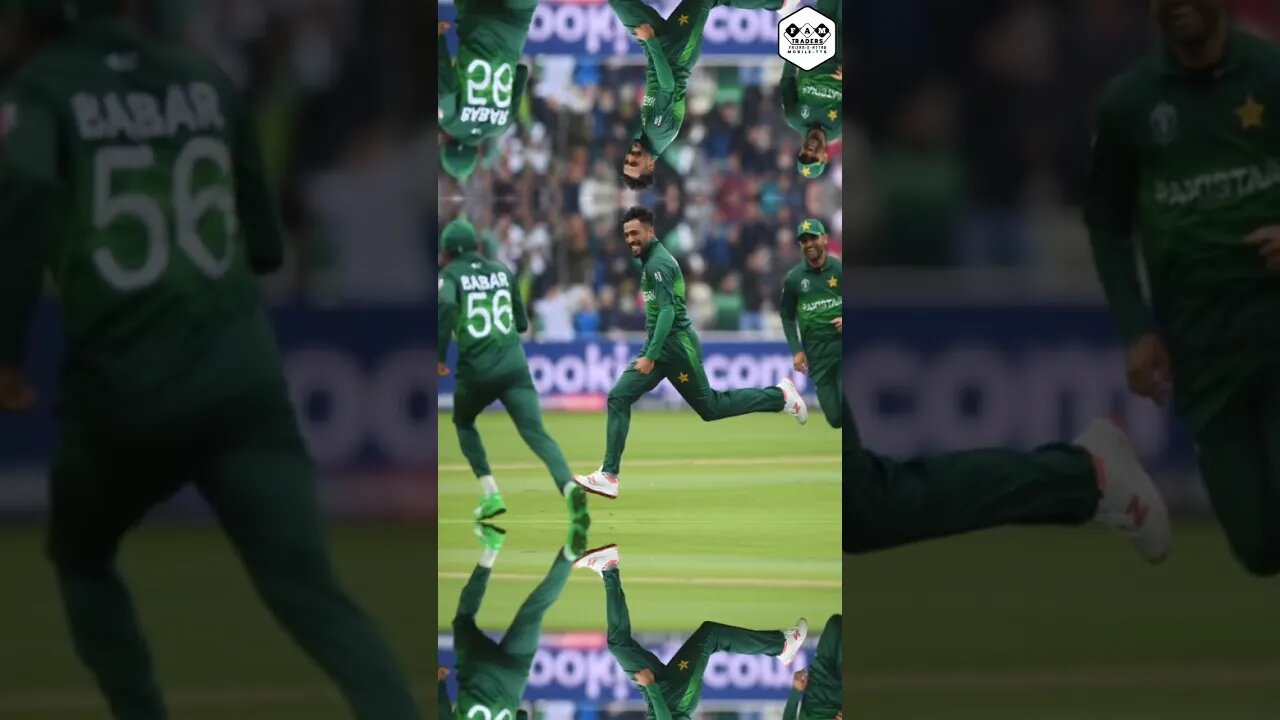 Muhammad Amir ODI Performance 2009-2019 #muhammadamir #worldcup2023 #naseemshah #zamankhan #famtts