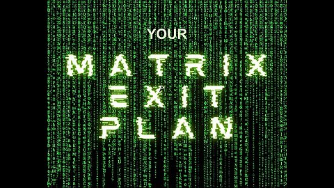 RECLAIM YOUR BIRTHRIGHT & ESCAPE THE MATRIX -- Bradley Freedom