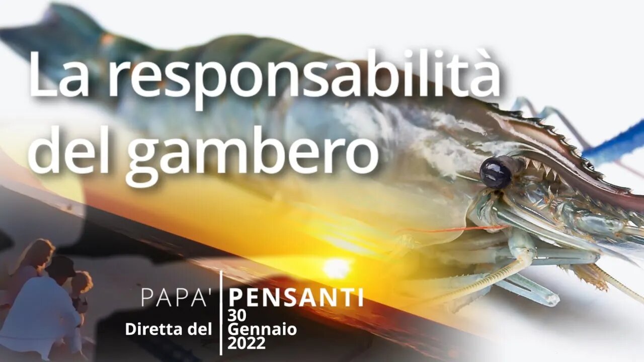 11 - La responsabilità del gambero (Diretta del 31 Gennaio 2022)