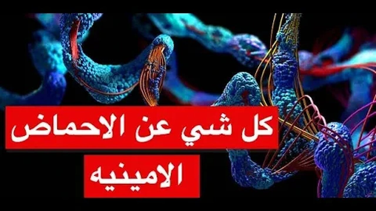 فهم مفهوم الأحماض الأمينية: تعريفها وأهميتها في الكيمياء الحيوية
