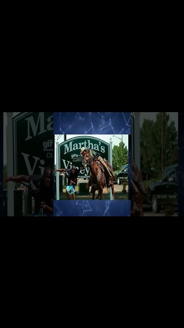 Martha's Vineyard Hypocrisy #shorts