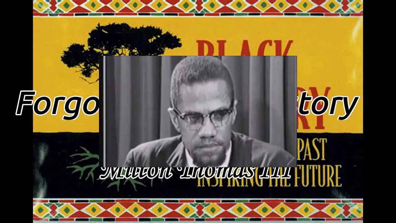 Who Assassinated Malcolm X? #RIZZAISLAM #MalcolmX #MathHoffa