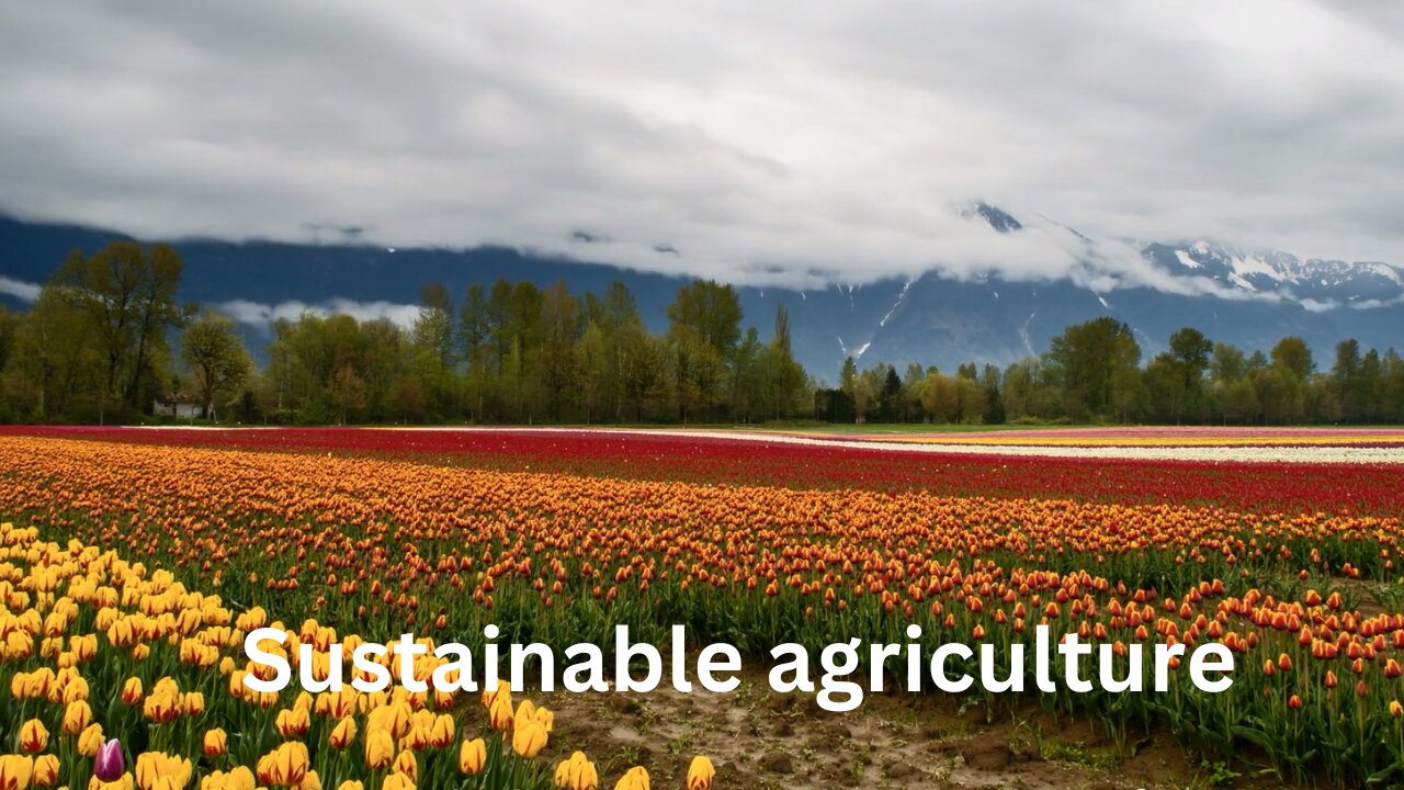 What is Sustainable Agriculture?