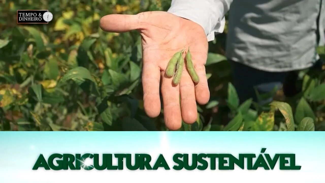 Agricultura Sustentável - com Frederico Olivi