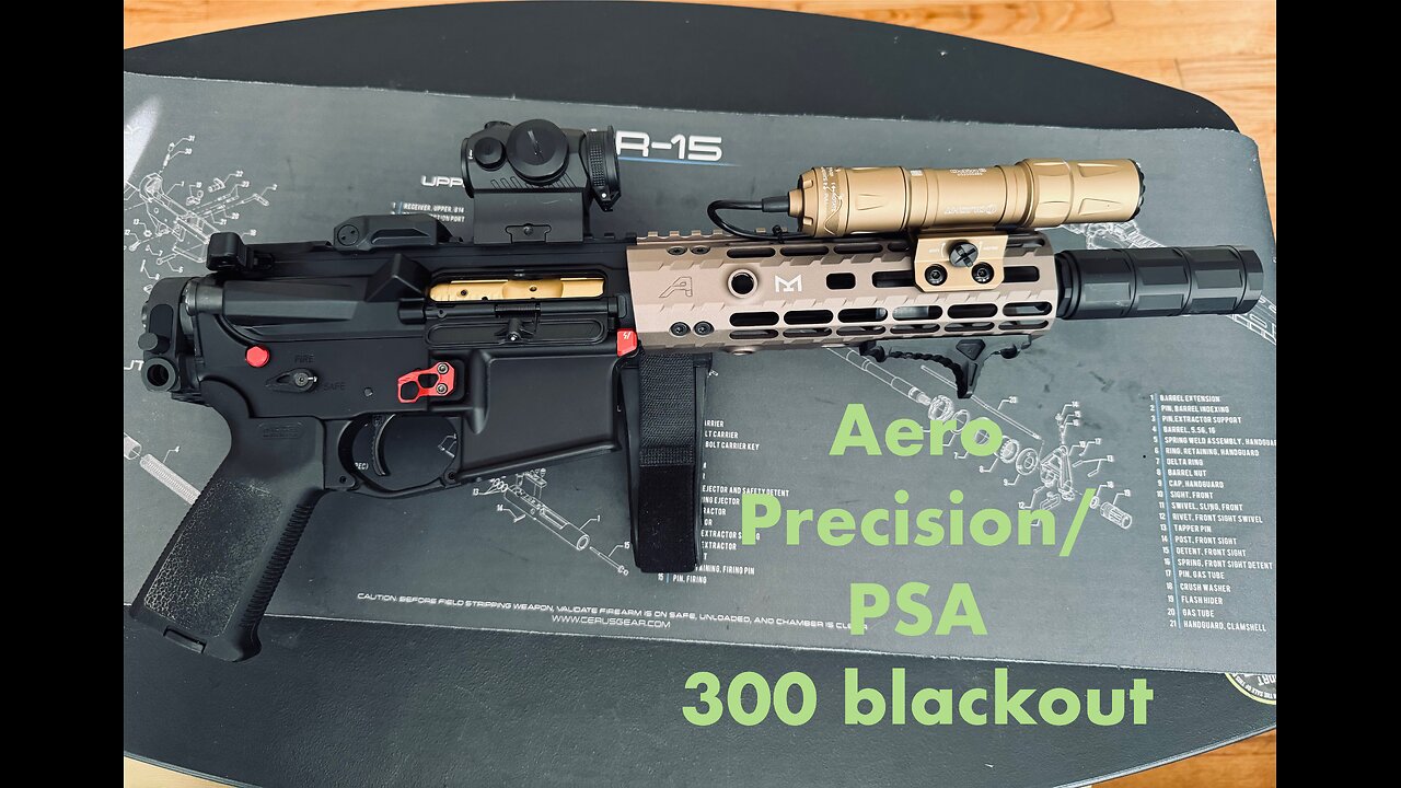 Aero Precision/PSA 300 blackout