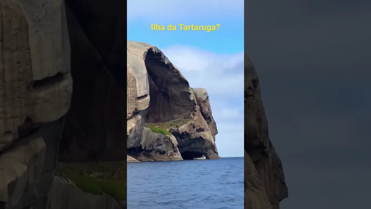 Ilha da Tartaruga? #news #tik #tiktok #tiktokvideo #tiktokvideos