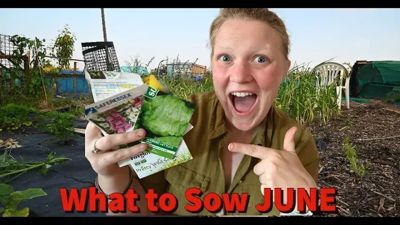 What to Sow in JUNE: Allotment Garden