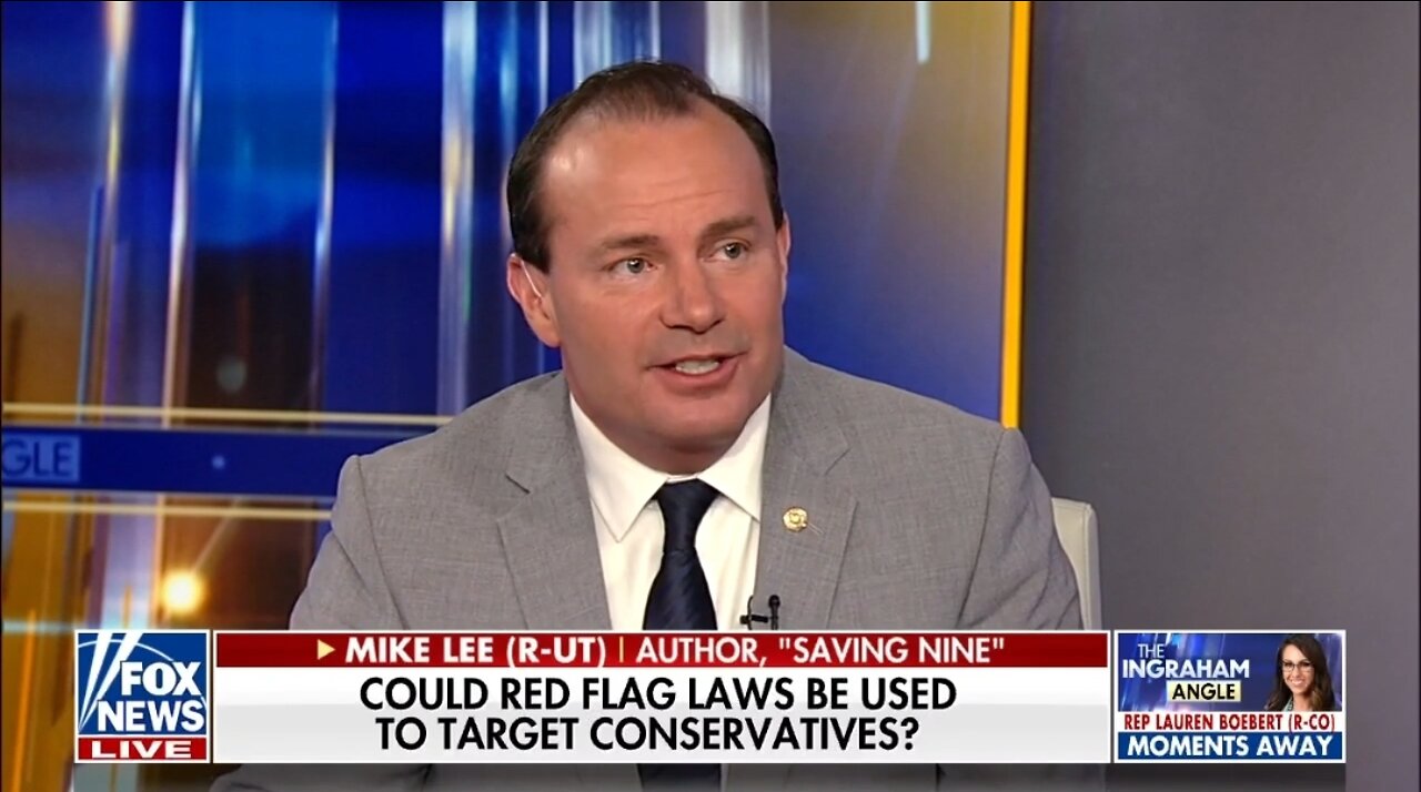 Sen Mike Lee: We Didn't Even Get To Read Gun Bill Before Voting