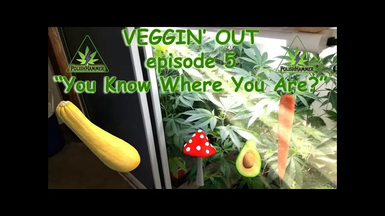 VEGGIN' OUT! Episode 5 "You Know Where You Are?" #GEEKLIGHT #MAC1 #FLORAFLEX 🍑🍒🌸🍆🥦🔨