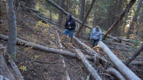 Overnight Outing - Wasatch Sasquatch in Utah