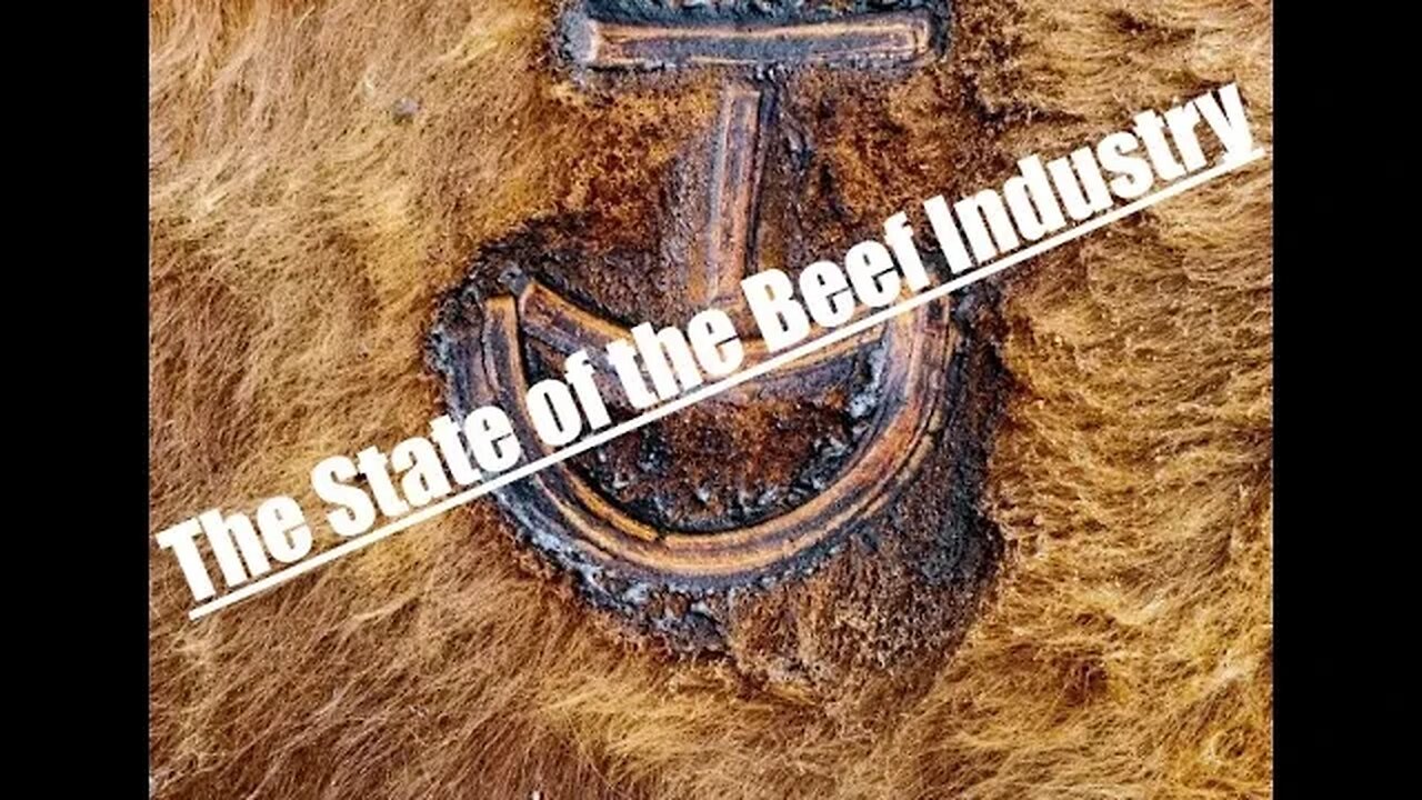 The State of Beef & Ranching | Agriculture Industry| Hashknife Ranch (Hashknife Hangouts - S23:01)