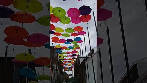 Umbrella Alley