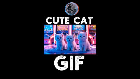 Cute Cat Gif