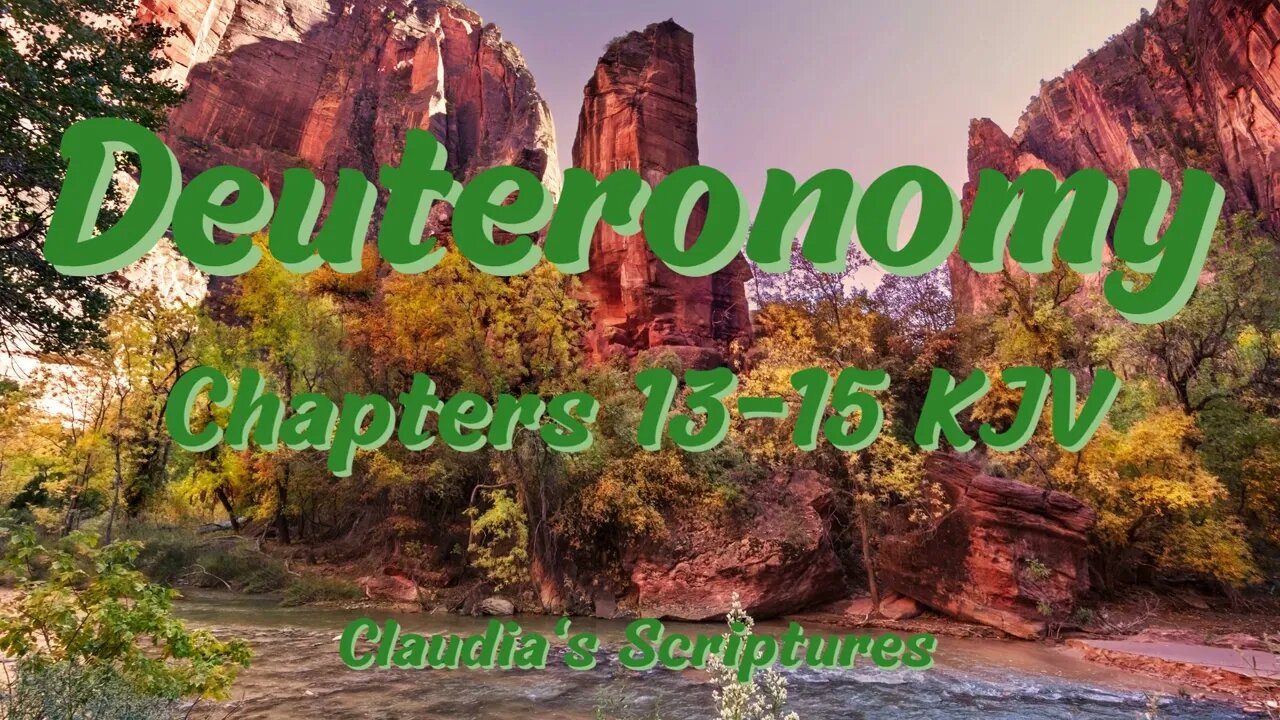 The Bible Series Bible Book Deuteronomy Chapters 13-15 Audio