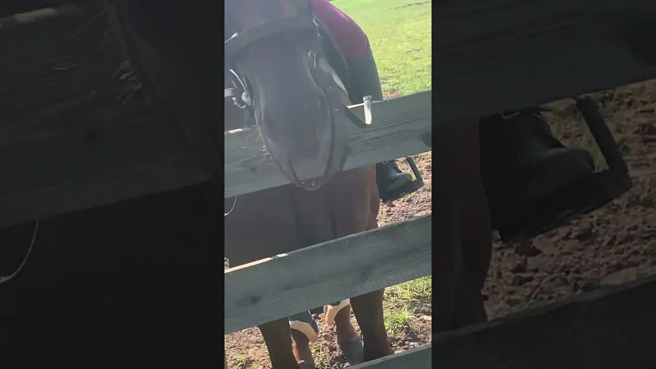 Making friends