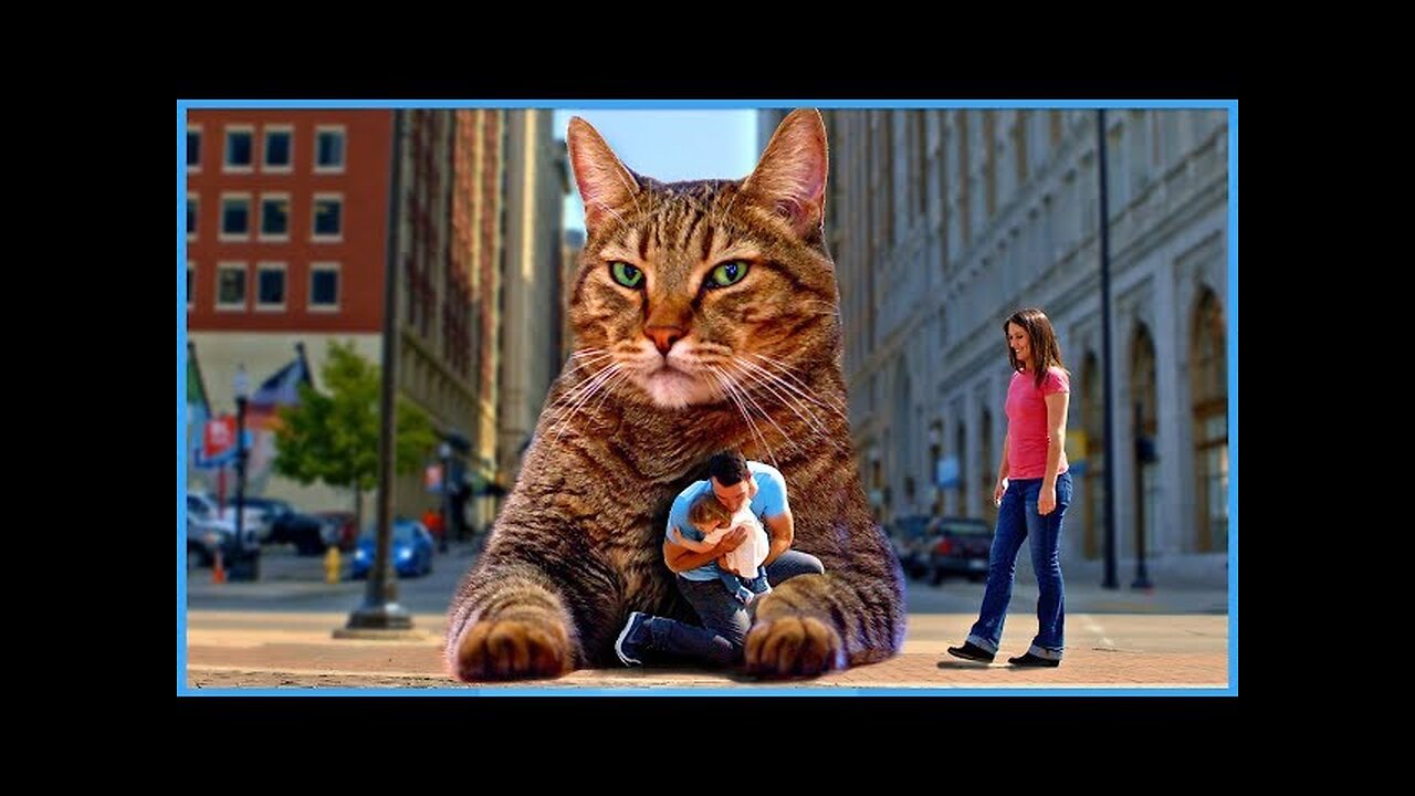 he BIG Mean Kitty Song - Official Music Video