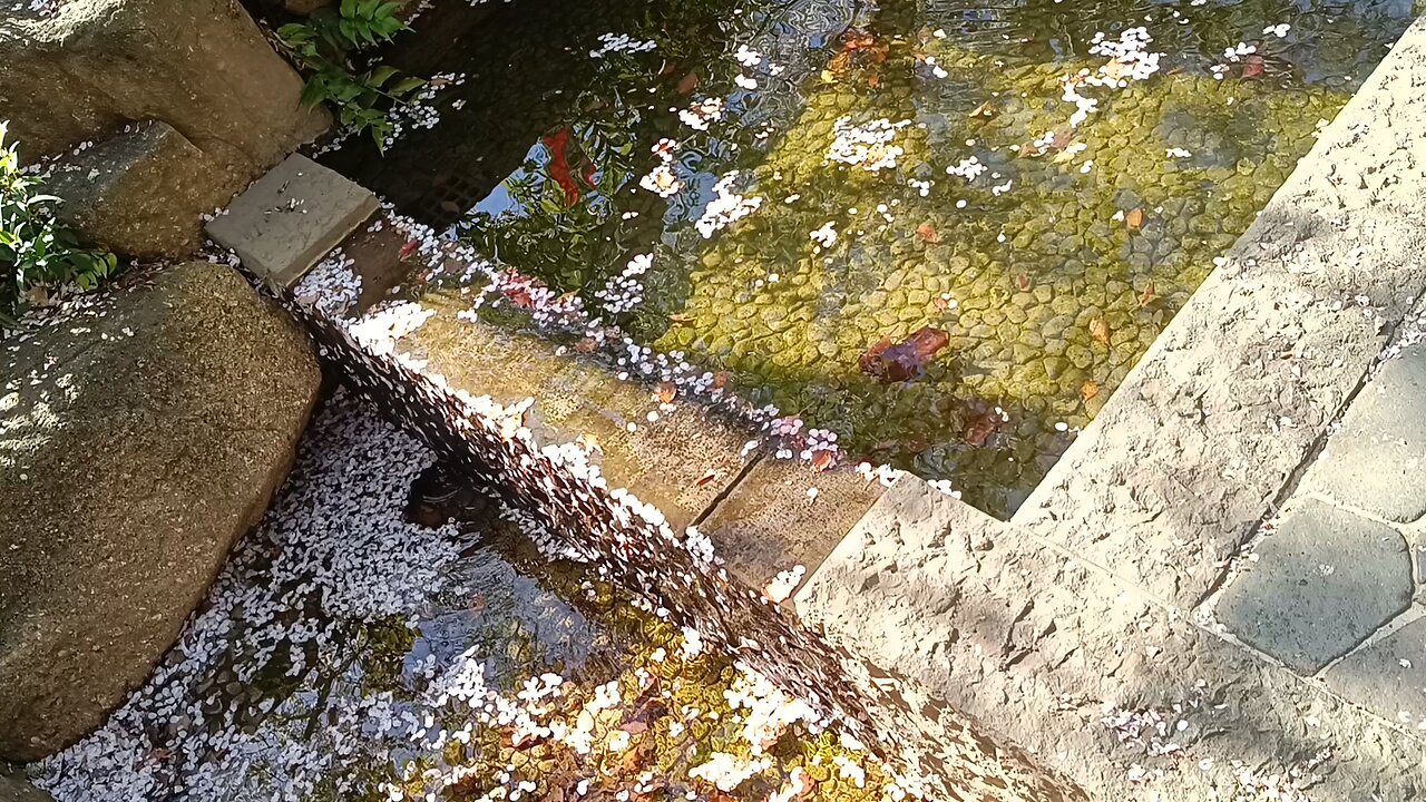 Well/waterfall in Ueno Park Part 2