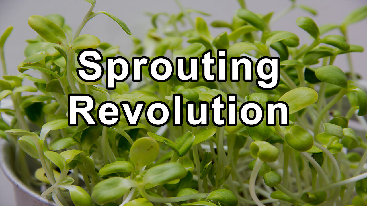 Doug Evans: From NYC Streets to Sprouting Revolution