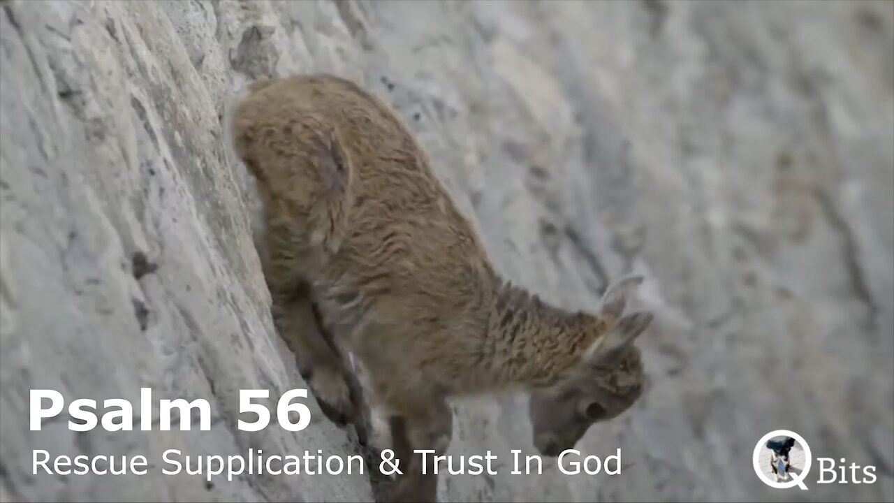 PSALM 056 // SUPPLICATION FOR RESCUE AND GRATEFUL TRUST IN GOD