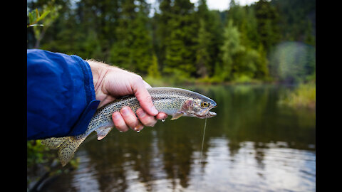 How To Fish Small Ponds - Fishing Tips (Bass)