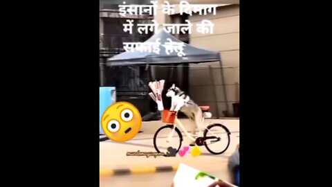 Gogy Rider First time