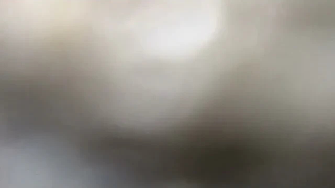 True Freeman Stalker Shiddy Greg