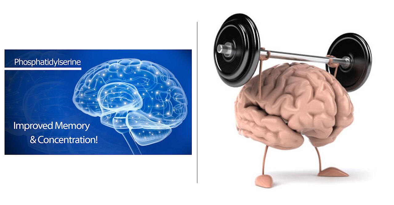 Phosphatidylserine Benefits & Uses