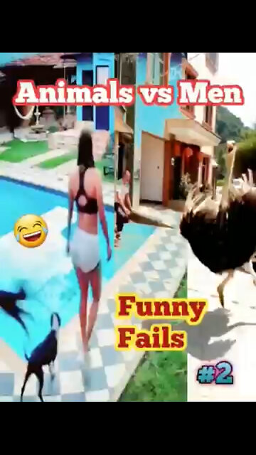 #Animals vs Men #funny fails #2 😂 #shorts