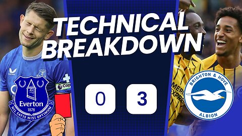 Shocking Everton vs Brighton Match Breakdown - Not A Penalty?