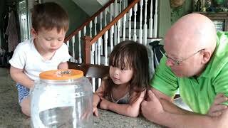 GIRL'S PRAYING MANTIS JUST HATCHED. HER REACTION IS PRICELESS!